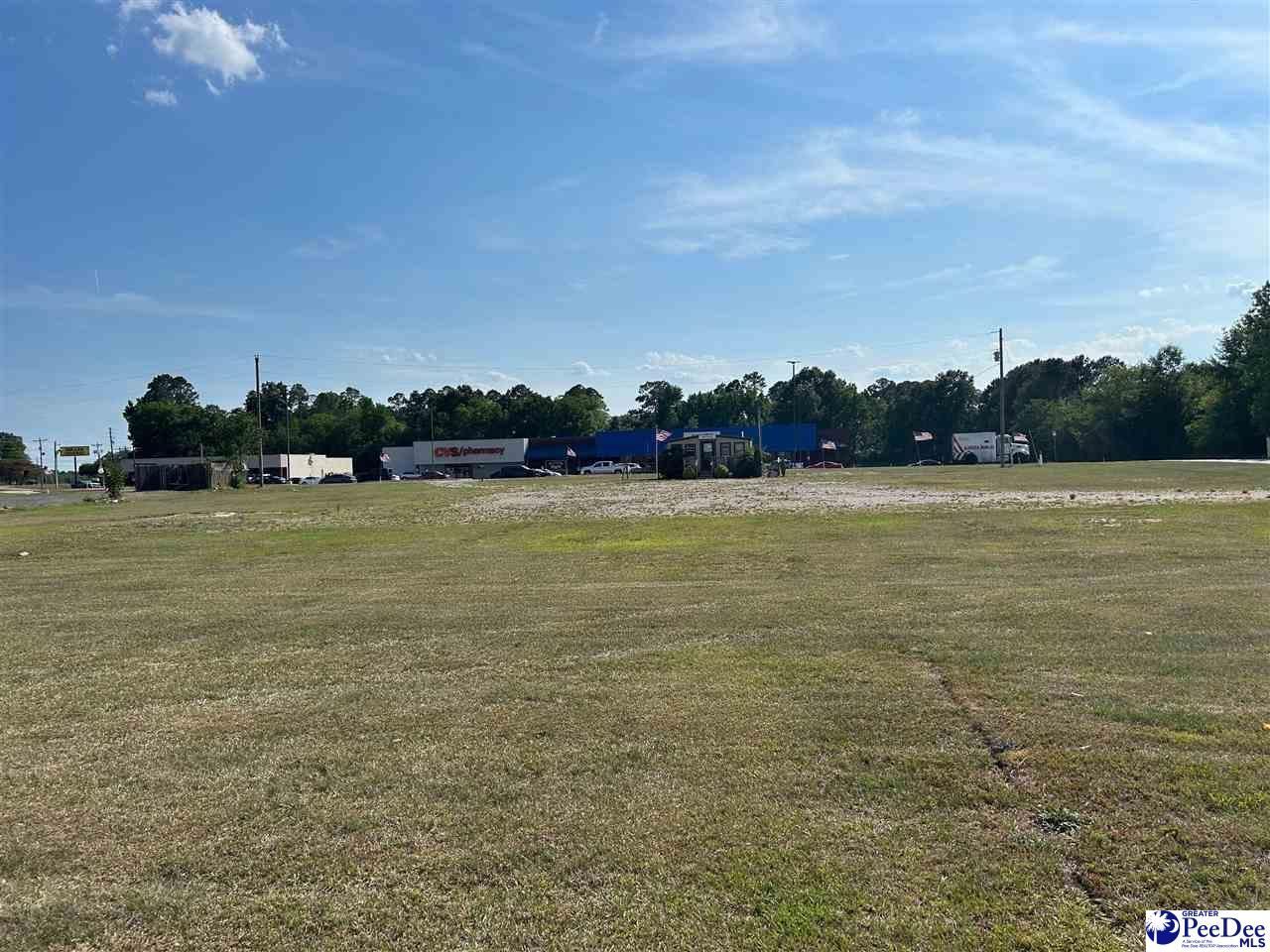 320 Hwy Sc-9 West Photo 22