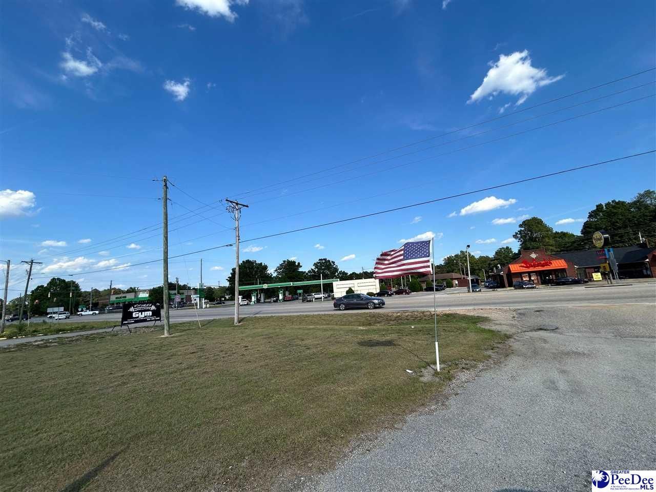 320 Hwy Sc-9 West Photo 8