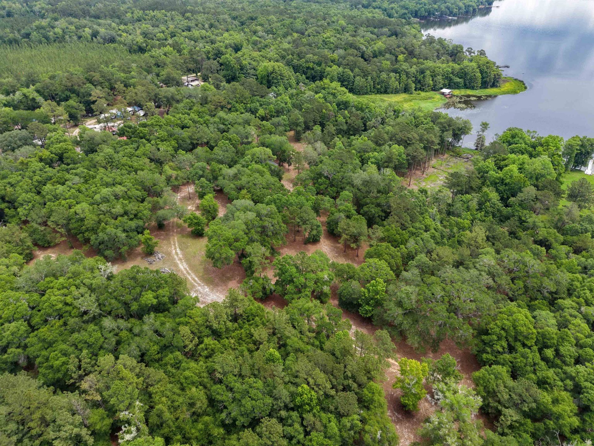 4013 Mccall Bridge Road, Quincy, FL 32351 Photo