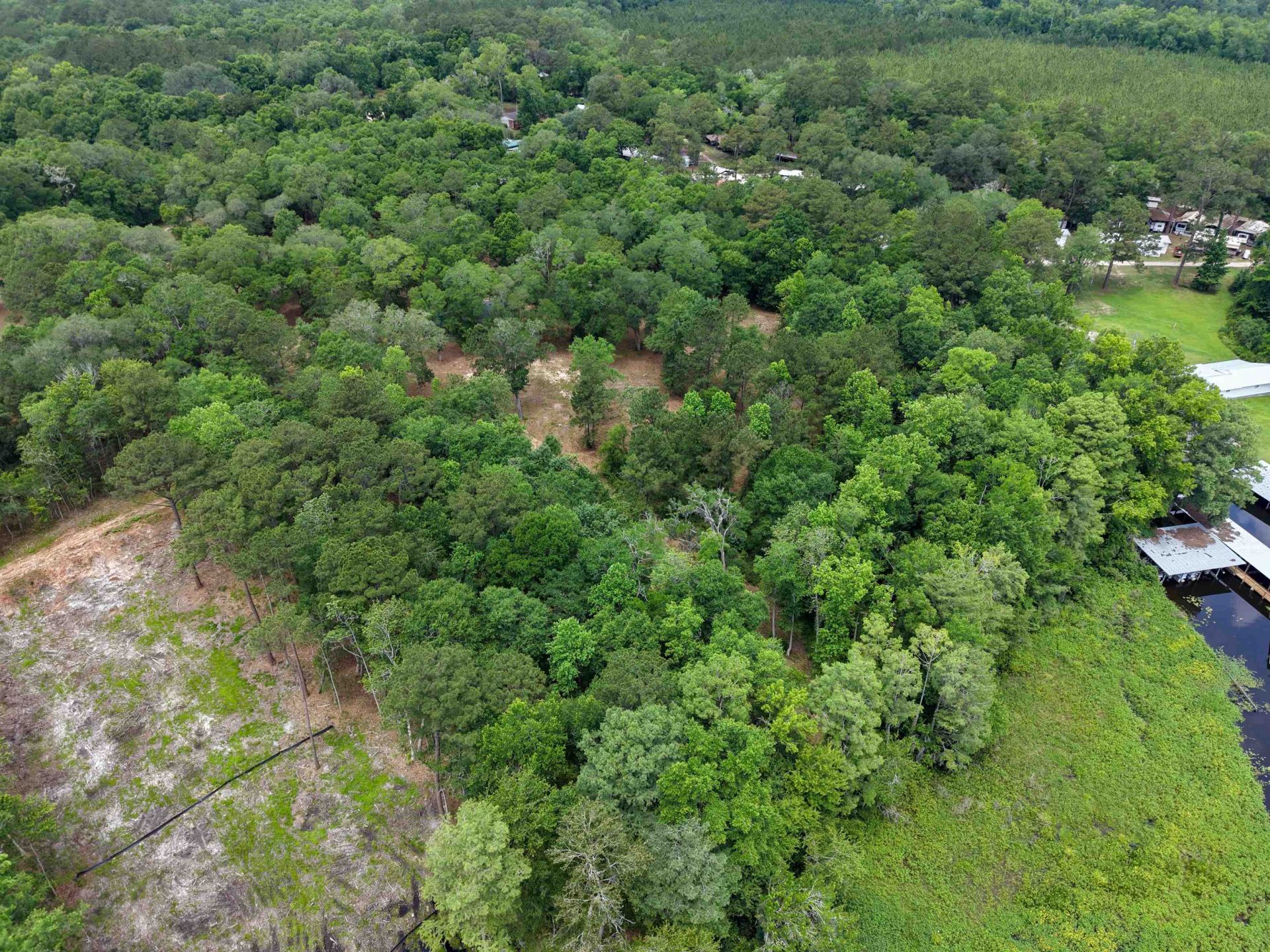 4013 Mccall Bridge Road, Quincy, FL 32351 Photo