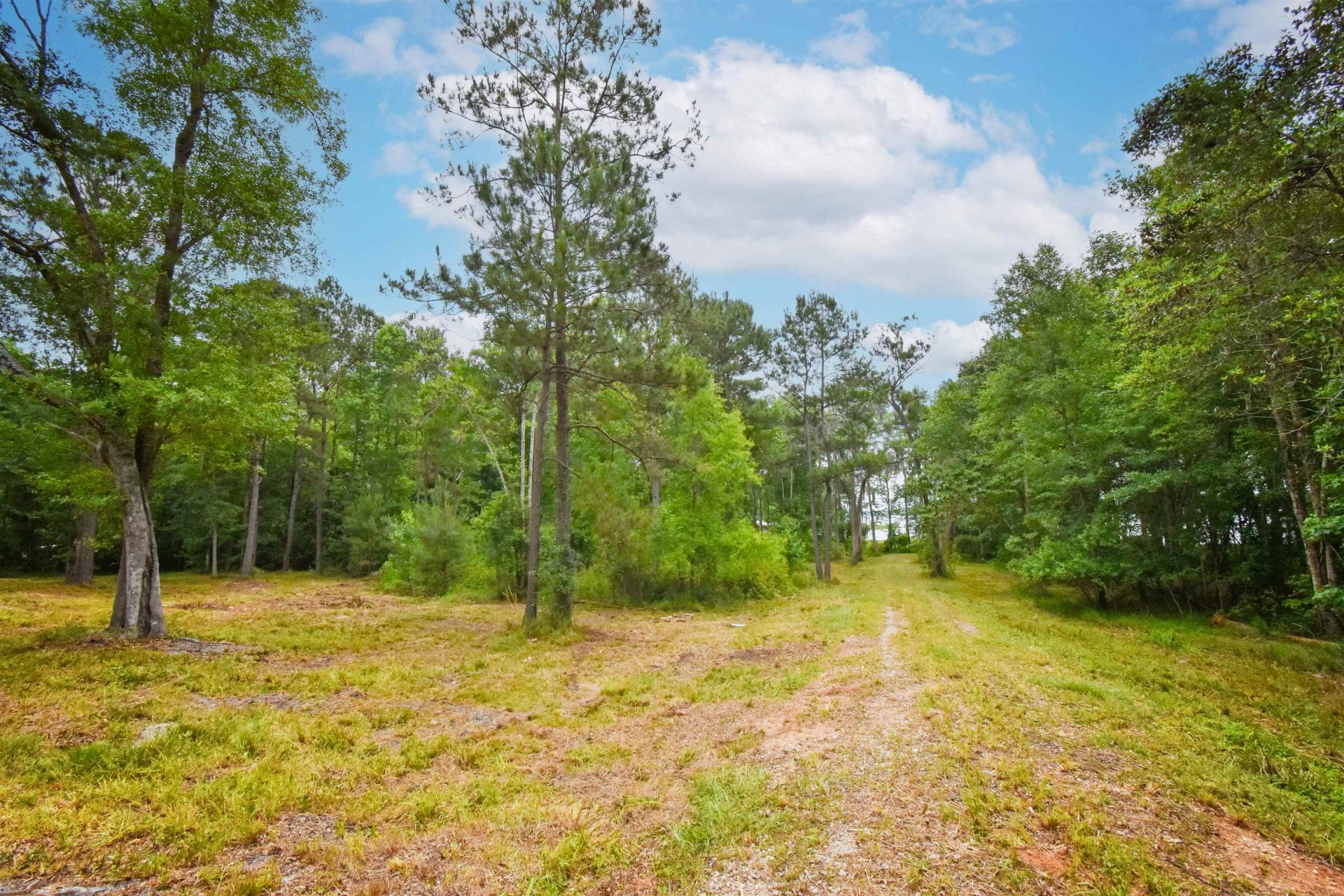 4013 Mccall Bridge Road, Quincy, FL 32351 Photo