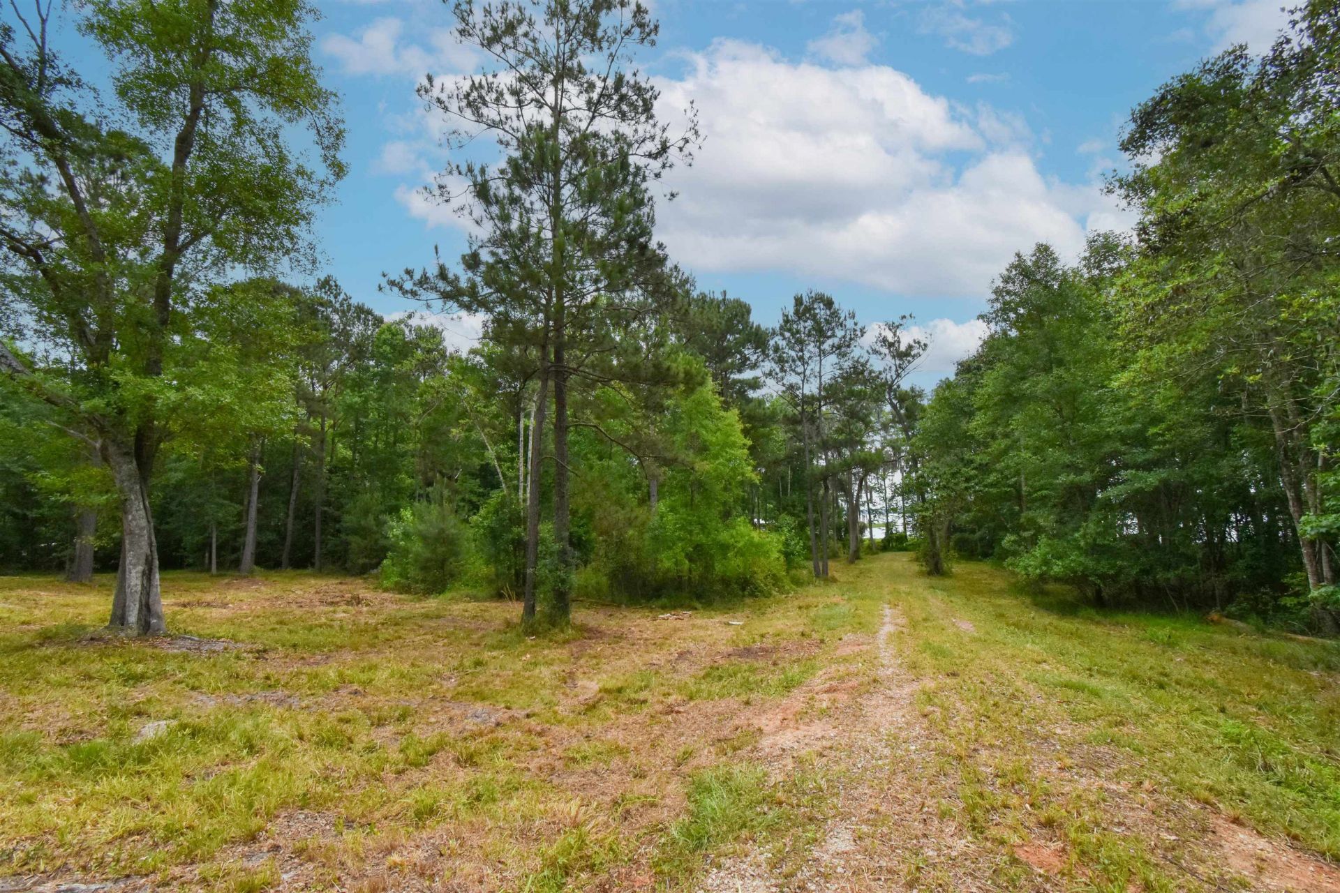 4013 Mccall Bridge Road, Quincy, FL 32351 Photo