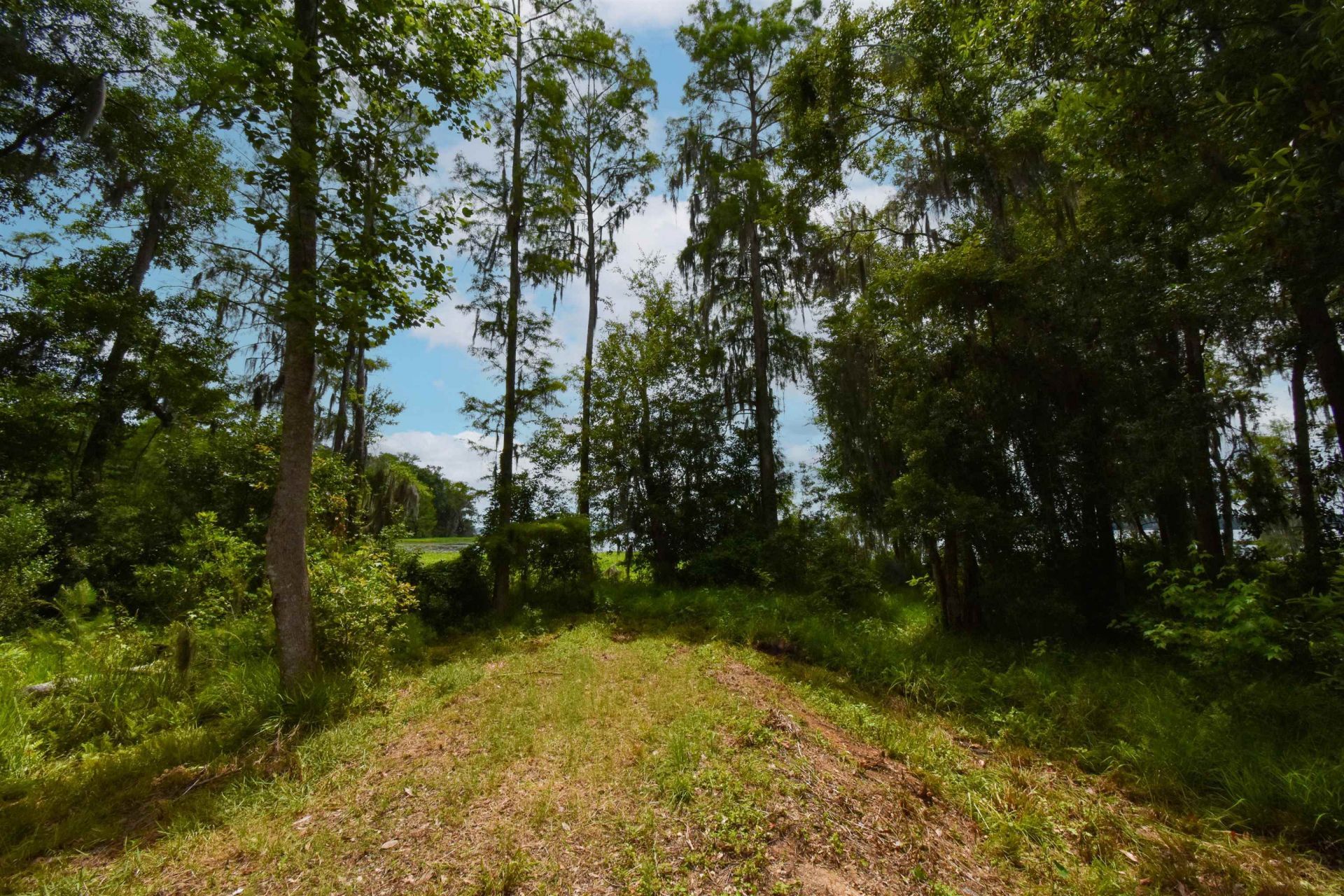 4013 Mccall Bridge Road, Quincy, FL 32351 Photo
