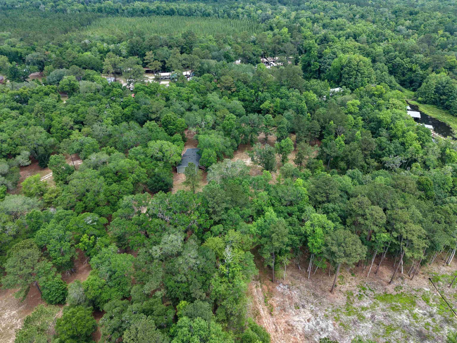4013 Mccall Bridge Road, Quincy, FL 32351 Photo