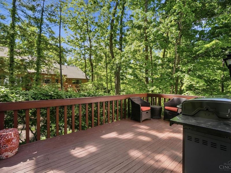 9218 Terwilligers Wood Court, Symmes Township, OH 45249 Photo 20