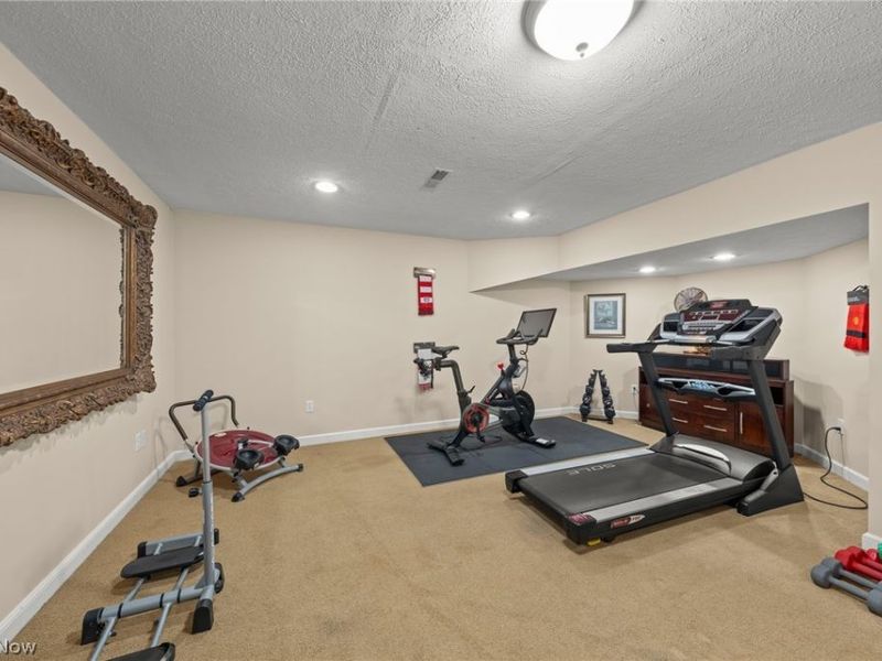 2821 Odesa Drive, Medina, OH 44256 Photo 46