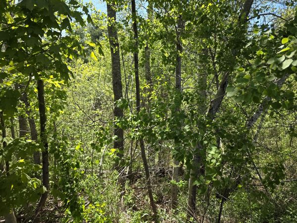 4 Goose River Estates , Swanville, ME 04915