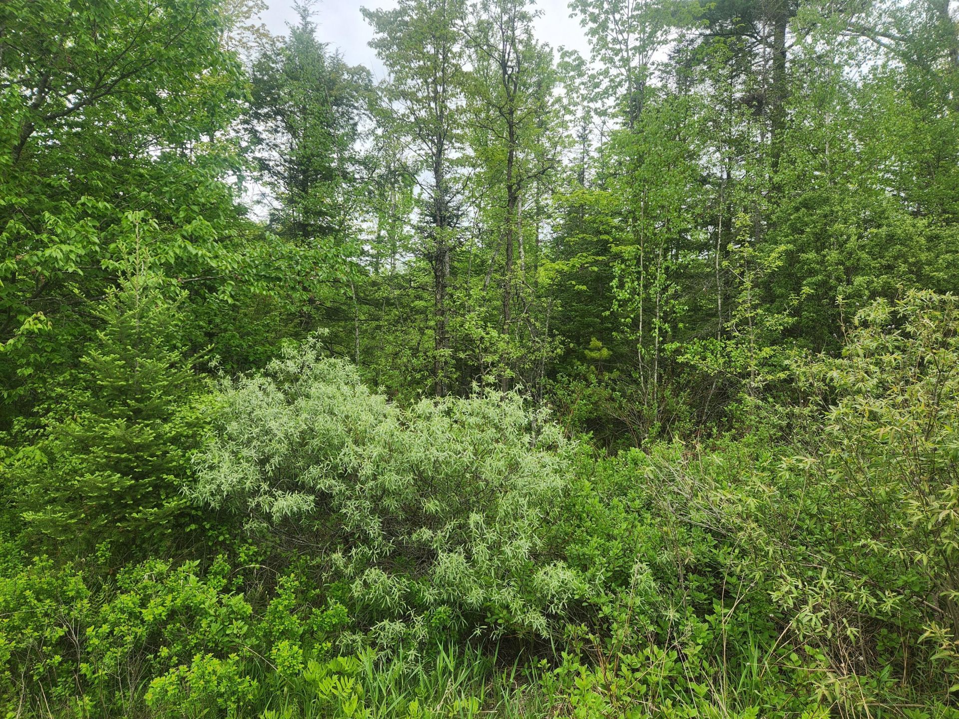 M5-l25-13 Union Street, Levant, ME 04456 Main Photo