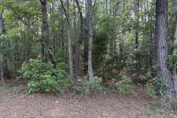 00 Sable Lane photo 4