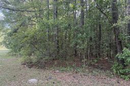 00 Sable Lane photo 4