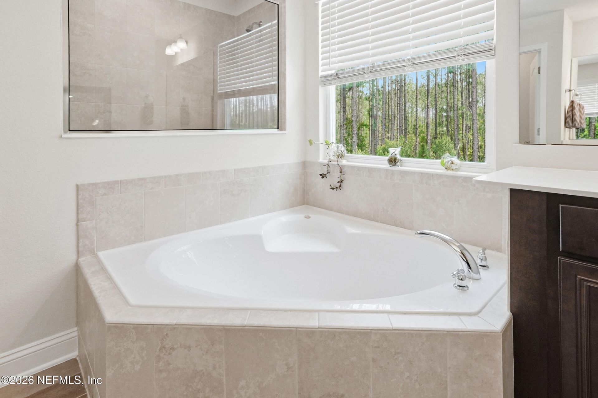 509 Glasgow Drive, Saint Johns, FL 32259 Photo