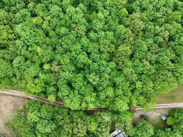 0 Sheep Ranch Rd, Oneida, TN 37841