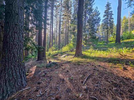 15444 Cedar Point Drive, Truckee, CA 96161 Photo