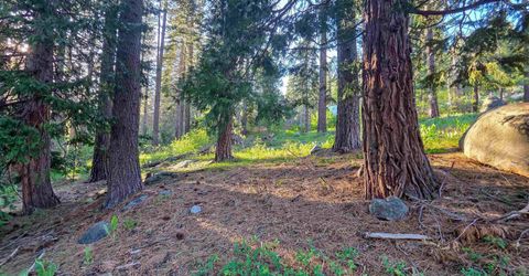 15444 Cedar Point Drive, Truckee, CA 96161 Photo