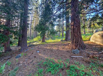 15444 Cedar Point Drive, Truckee, CA 96161 Photo