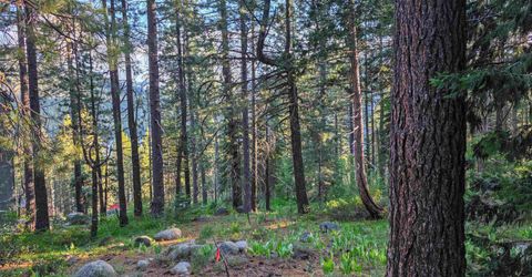 15444 Cedar Point Drive, Truckee, CA 96161 Photo