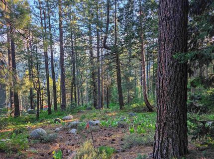 15444 Cedar Point Drive, Truckee, CA 96161 Photo