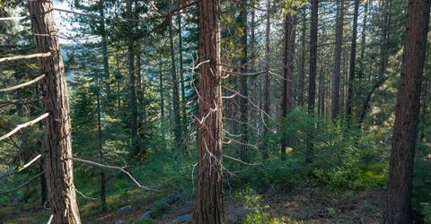 15444 Cedar Point Drive, Truckee, CA 96161 Photo