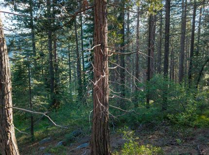 15444 Cedar Point Drive, Truckee, CA 96161 Photo