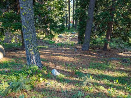 15444 Cedar Point Drive, Truckee, CA 96161 Photo