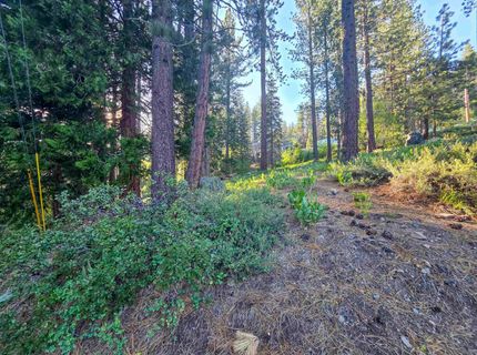 15444 Cedar Point Drive, Truckee, CA 96161 Photo