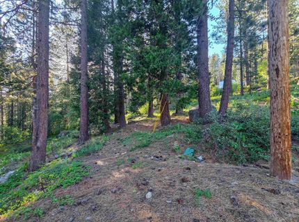 15444 Cedar Point Drive, Truckee, CA 96161 Photo