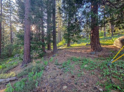 15444 Cedar Point Drive, Truckee, CA 96161 Photo