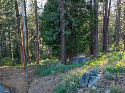 15444 Cedar Point Drive, Truckee, CA 96161 Photo