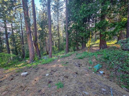 15444 Cedar Point Drive, Truckee, CA 96161 Photo