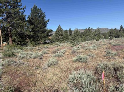 364 Wrangler Drive, Loyalton, CA 96118 Photo