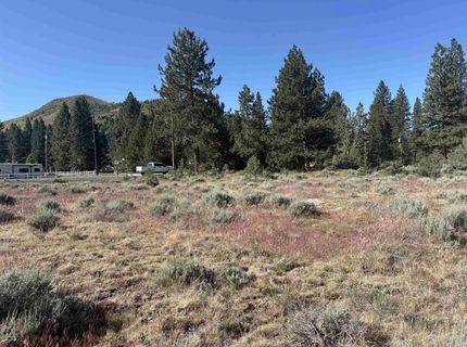 364 Wrangler Drive, Loyalton, CA 96118 Photo