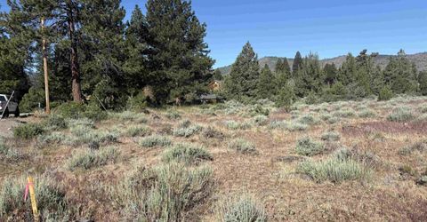 364 Wrangler Drive, Loyalton, CA 96118 Photo
