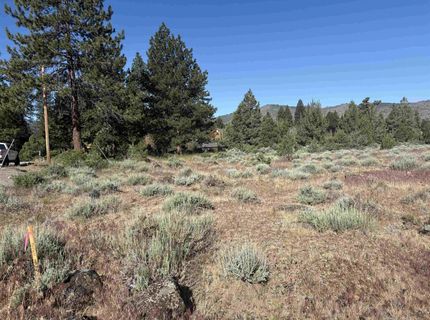 364 Wrangler Drive, Loyalton, CA 96118 Photo
