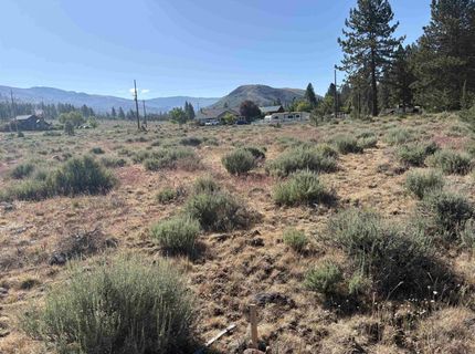 364 Wrangler Drive, Loyalton, CA 96118 Photo