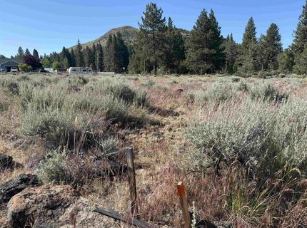 364 Wrangler Drive, Loyalton, CA 96118 Photo