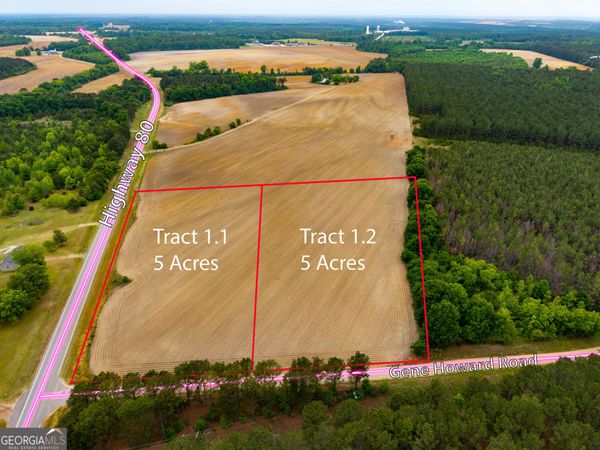 1.1 Highway 80, Stapleton, GA 30823
