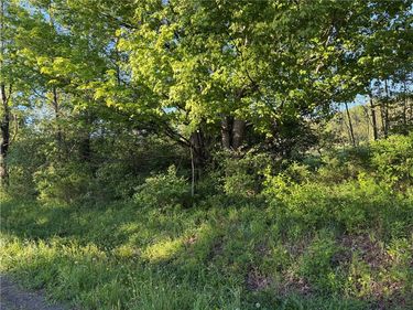 0 County Highway 4, Gilbertsville, NY 13776