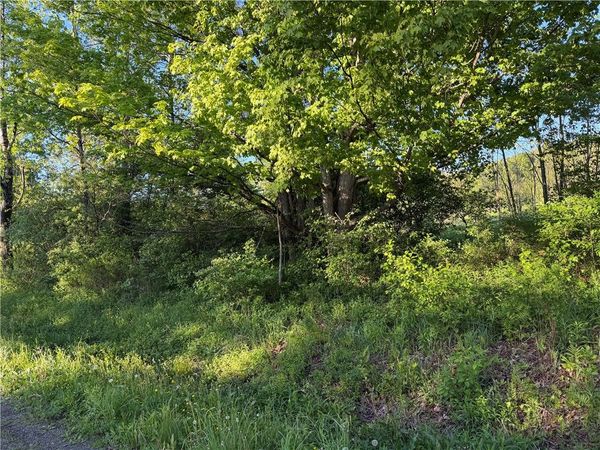 0 County Highway 4, Gilbertsville, NY 13776