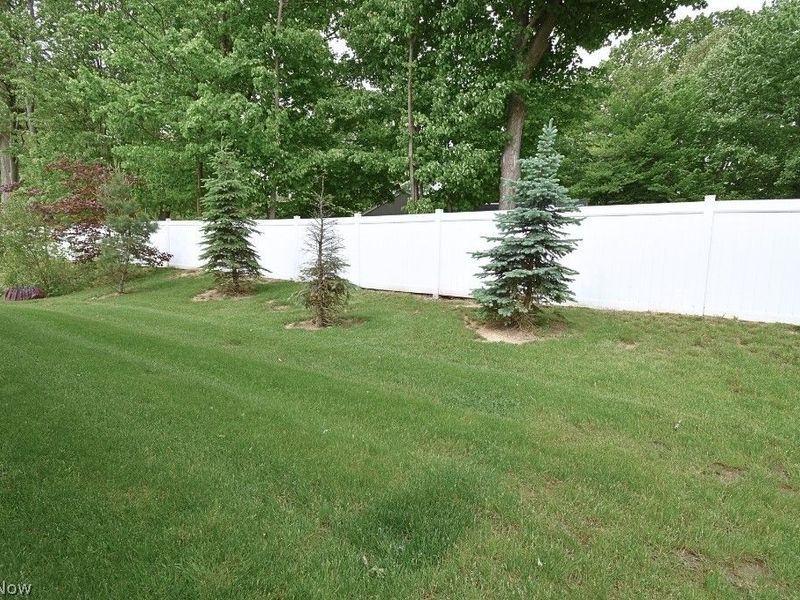 8208 Mustang Lane, Mentor, OH 44060 Photo 50