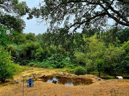 3765 Grass Valley Hwy #202, Auburn, CA 95602 Photo