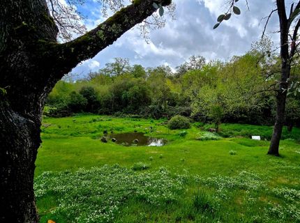 3765 Grass Valley Hwy #202, Auburn, CA 95602 Photo