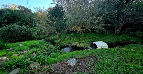 3765 Grass Valley Hwy #202, Auburn, CA 95602 Photo