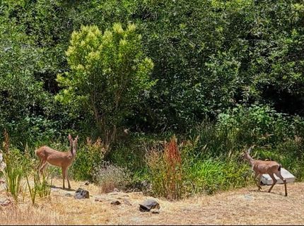3765 Grass Valley Hwy #202, Auburn, CA 95602 Photo