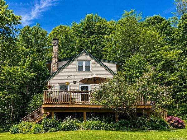 145 White Roe Lake Road, Livingston Manor, NY 12758