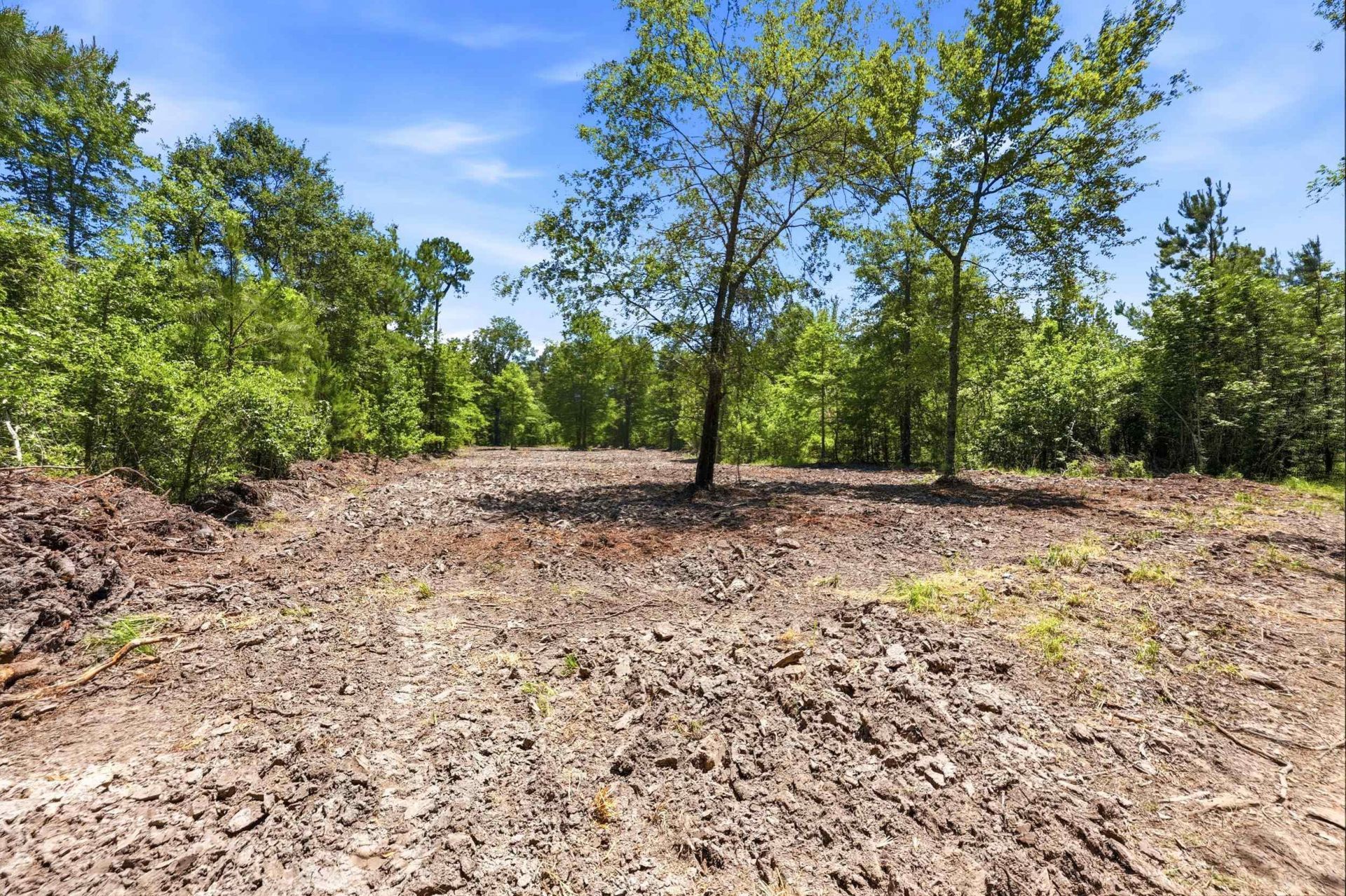 1375 N Old Georgetown Rd. Photo 40