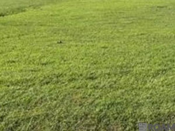 13387 Greely Rd, Baton Rouge, LA 70807