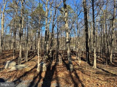 Lot 11 PHEASANT DRIVE , WINCHESTER, VA 22602