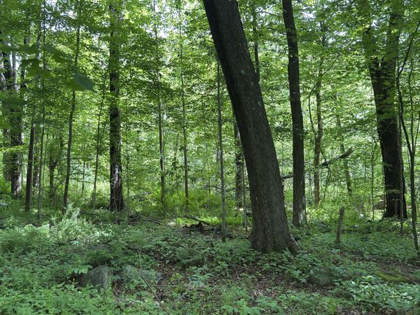 319 White Oak , Winchester, CT 06098