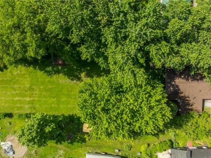 104 S Grant Street, Christiansburg, OH 45389 Photo 5