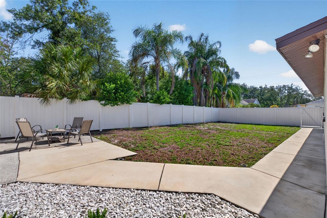 10402 N Pawnee Avenue, Tampa, FL 33617 Photo